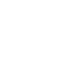 logo_flash